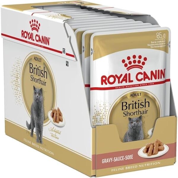 royal-canin-british-shorthair-wet-cat-food-85gx1 pouche-soft-texture-uae-online-sale
