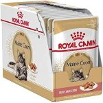 abu-dhabi-online-delivery-maine-coon-cat-food-royal-canin