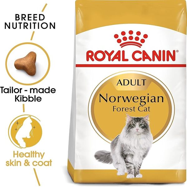 uae-online-purchase-norwegian-forest-cat-adult-food-royal-canin-2kg-coat-joint