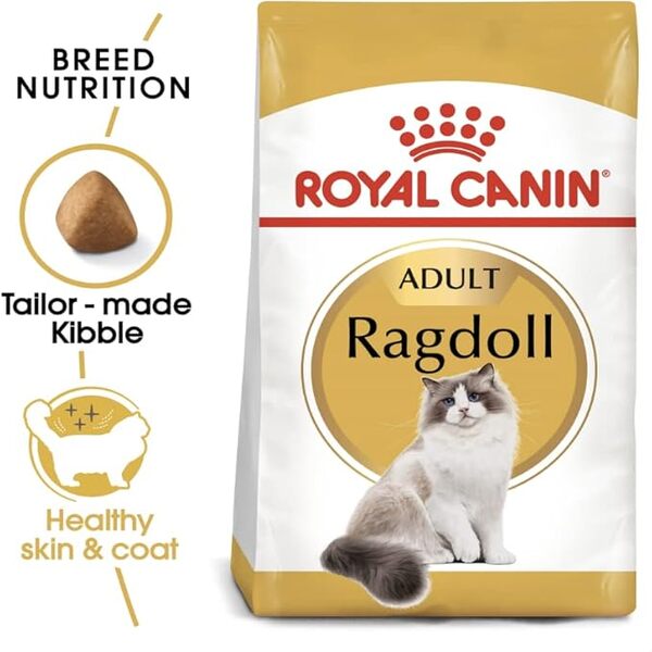 uae-online-purchase-ragdoll-adult-food-royal-canin-cat-health-2kg