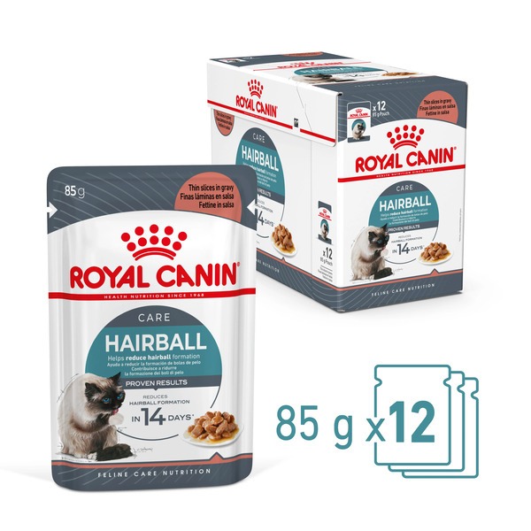 uae-online-purchase-hairball-gravy-cat-food-royal-canin-wet-pouch-digestion