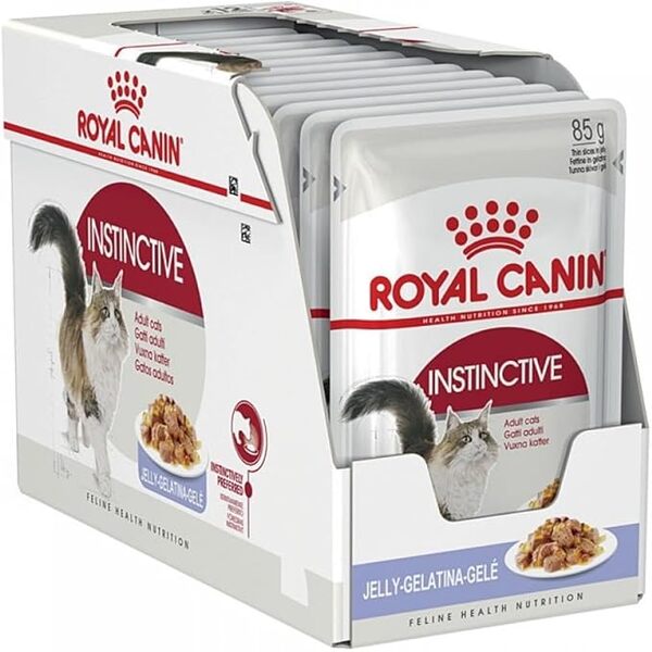 UAE Online Purchase Instinctive Jelly Royal Canin Wet Food For Adult Cats 85g