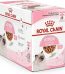 Royal Canin Kitten Sterilised Gravy Wet Food 85gx1 Pouch UAE Online Sale