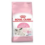 Abu Dhabi Online Delivery Mother & Babycat PRO Royal Canin Dry Food 10 Kg For Kittens