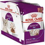 UAE Online Purchase Sensory Feel Gravy Royal Canin Wet Food For Appetite Support