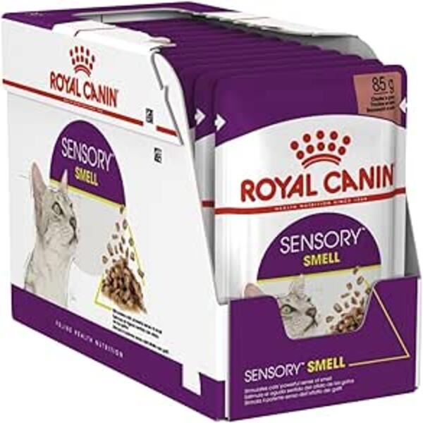 Sharjah Online Delivery Sensory Smell Gravy Royal Canin Wet Food For Cats