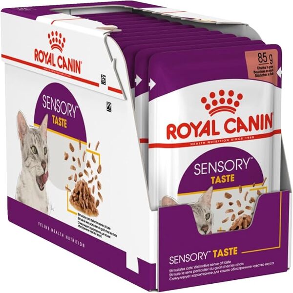 Dubai Online Delivery Sensory Taste Gravy Royal Canin Wet Cat Food