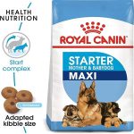 UAE Online Purchase Maxi Starter Royal Canin Dog Food For Puppy Weaning Support