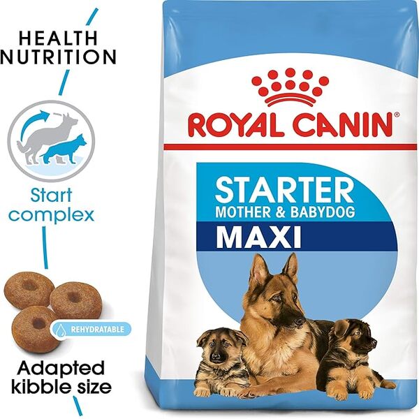 UAE Online Purchase Maxi Starter Royal Canin Dog Food For Puppy Weaning Support