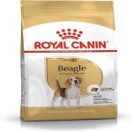 royal-canin-beagle-adult-dog-food-tailored-nutrition-uae-online-sale