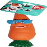 Agrobiothers Vinyl Carrot Toy Dog Chewing 24 Cm UAE Online Sale