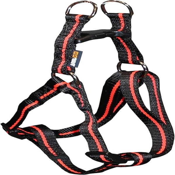 UAE Online Purchase Agrobiothers Yago Basic Nylon Harness Dog Black Orange