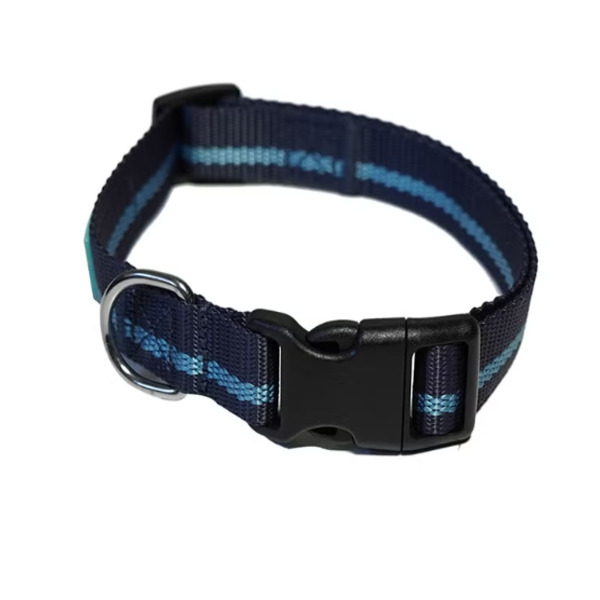 Agrobiothers Yago Basic Nylon Collar Dog Blue Light Blue Durable UAE Online Sale