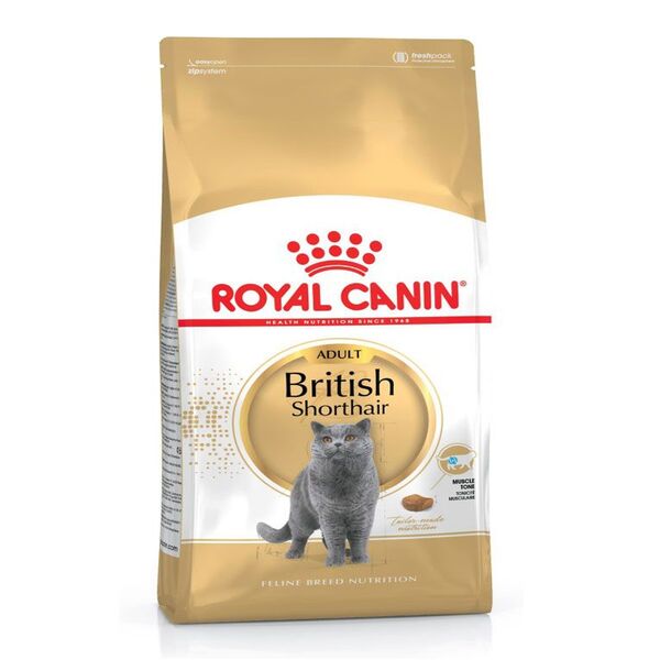 uae-online-purchase-british-shorthair-adult-cat-food-royal-canin-4kg-muscle-bone-care