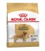 dubai-online-delivery-golden-retriever-dog-food-royal-canin-breed-nutrition