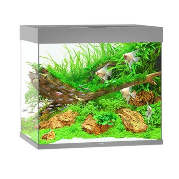 UAE Online Delivery Juwel LIDO 200 Aquarium Set to Create a Stylish Freshwater or Marine Habitat for Fish