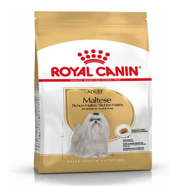 uae-online-purchase-maltese-adult-royal-canin-dog-food-shiny-coat-care