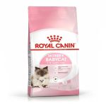 Dubai Online Delivery Mother & Babycat Royal Canin Dry Food For Mother Cats And Babies