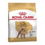 uae-online-purchase-poodle-adult-dog-food-royal-canin-coat-dental-support