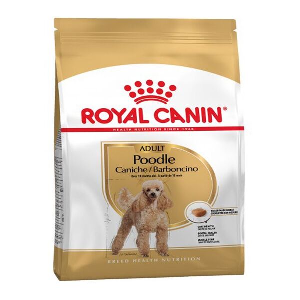 uae-online-purchase-poodle-adult-dog-food-royal-canin-coat-dental-support
