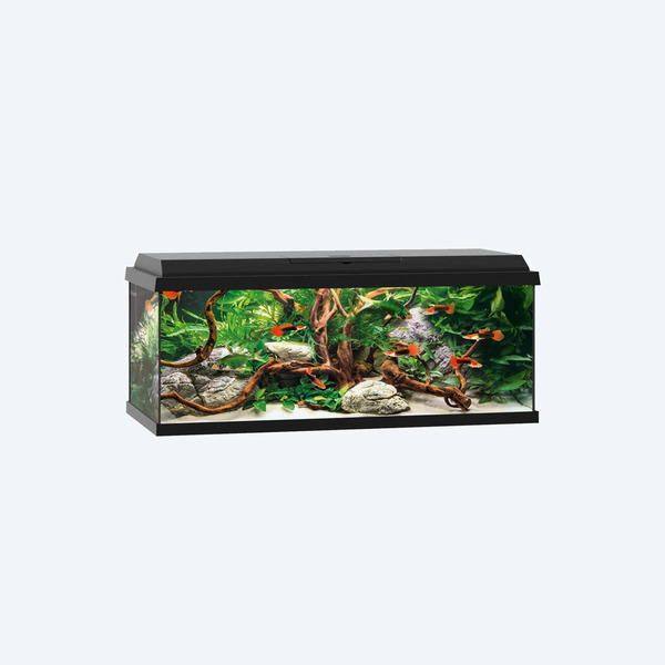 UAE Online Delivery Juwel Primo 60 LED Aquarium Set – Black Creating Compact Aquatic Environments for Fish
