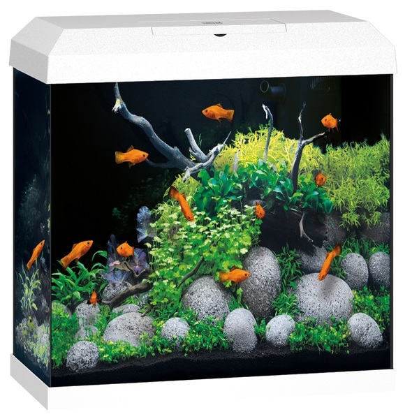 UAE Online Delivery Juwel Primo 110 LED 2.0 Aquarium Set Creating Vibrant Aquatic Habitats for Fish