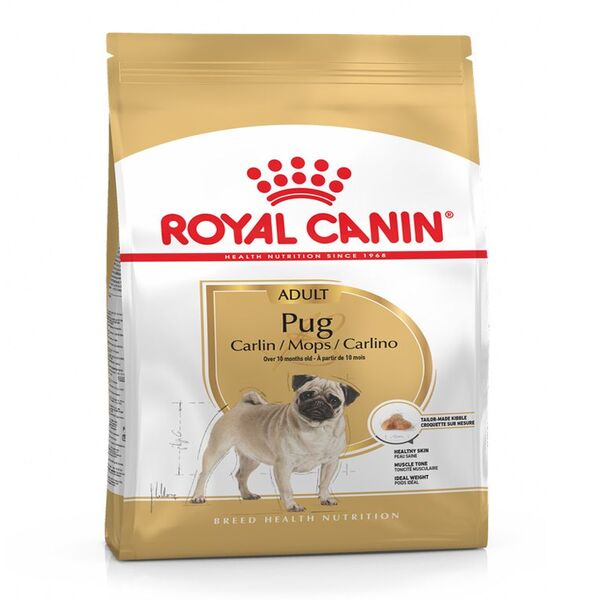 uae-online-purchase-pug-adult-dog-food-royal-canin-muscle-skin-support