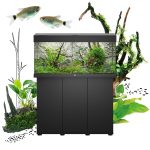 UAE Online Delivery Juwel RIO 350 LED Aquarium Set for Creating a Stylish Aquatic Habitat for Fish and Aquatic Pets