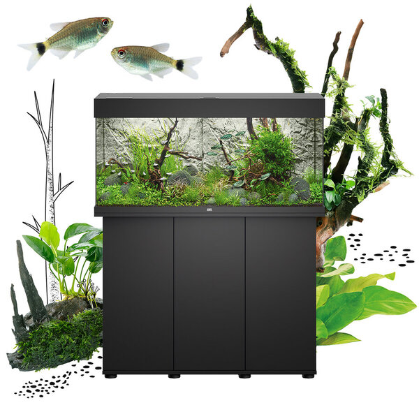 UAE Online Delivery Juwel RIO 350 LED Aquarium Set for Creating a Stylish Aquatic Habitat for Fish and Aquatic Pets