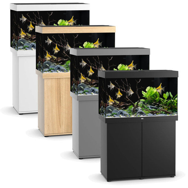 UAE Online Delivery Juwel RIO 290 LED Aquarium Set for Creating Aquatic Environments for Fish and Aquatic Pets