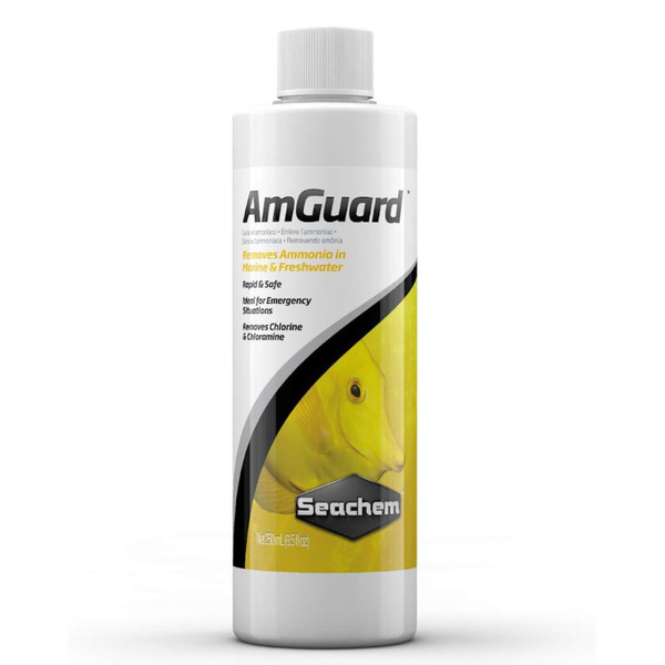 UAE Online Delivery Seachem AmGuard 100ml to Detoxify Ammonia Instantly for Freshwater and Marine Aquariums