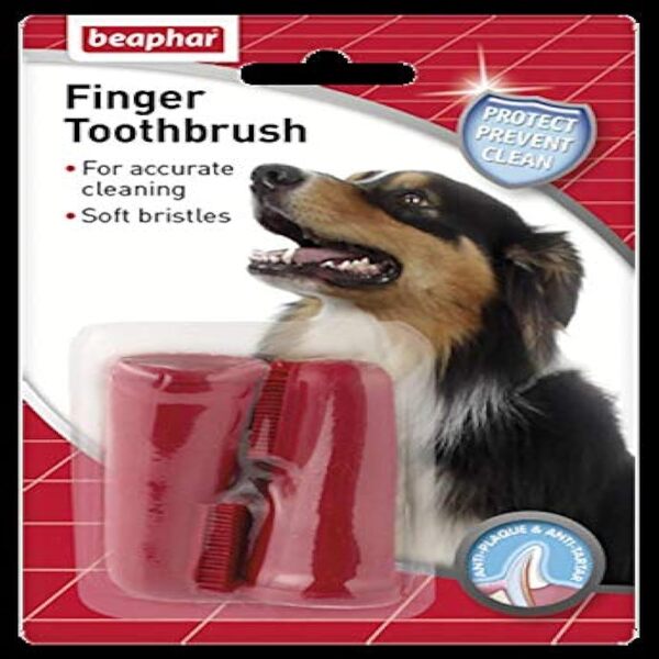 UAE Online Purchase Beaphar Finger Toothbrush Dental Care Pets 2 pcs