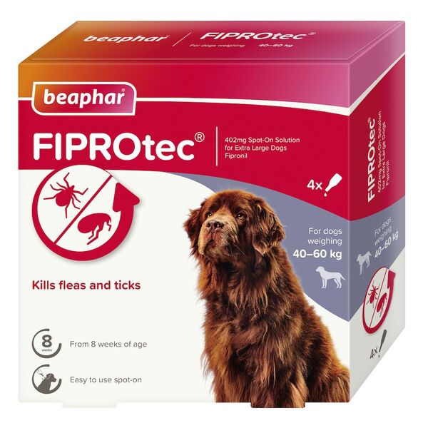 UAE Online Purchase Beaphar Fiprotec Large Dog Flea Tick Protection 4 Pipettes