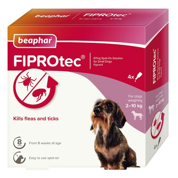 Dubai Online Delivery Beaphar Fiprotec Small Dog Flea Tick Protection