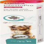 UAE Online Purchase Beaphar IntestoPro Anti Diarrhea Paste Large Dog 2x20ml