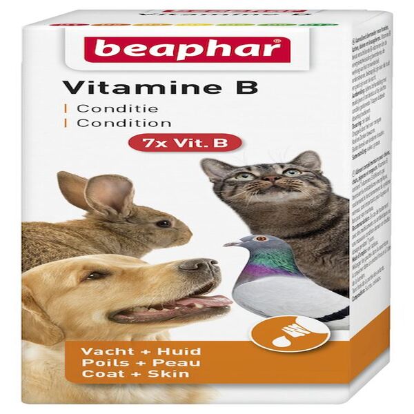 Beaphar Vitamin B Complex Pets Health 50ml UAE Online Sale