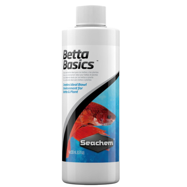 UAE Online Delivery Seachem Betta Basics to Condition and Stabilize Aquarium Water for Betta Fish
