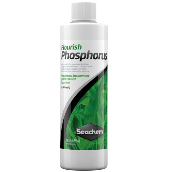 UAE Online Delivery Seachem Flourish Phosphorus for Aquariums to Enhance Root Development and Promote Robust Plant Growth