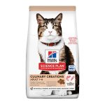 Dubai Online Delivery Hill's Science Plan Culinary Creations Salmon Carrots Cat Dry Food Nutrition