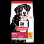 UAE Online Purchase Hill's Science Plan Large Breed Adult Dog Food With Chicken Joint Health