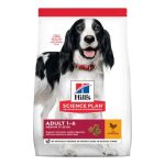 Hill's Science Plan Medium Adult Dog Food Muscle Support UAE Online Sale