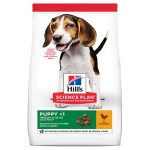 UAE Online Purchase Hill's Science Plan Medium Puppy Food With Chicken Healthy Development
