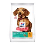 UAE Online Purchase Hill's Science Plan Perfect Weight Small & Mini Adult Dog Food With Chicken 1.5KG Weight Management