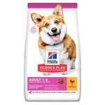 UAE Online Purchase Hill's Science Plan Small & Mini Adult Chicken Dry Dog Food Muscle Support
