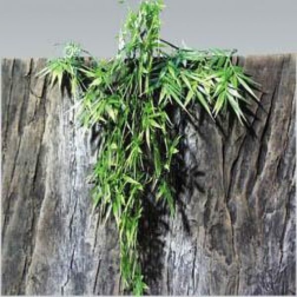 Sharjah Online Delivery JBL TerraPlanta Bamboo Small Natural Reptile Decor