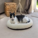 Mikki Cat Snoozer Pet Bed Pillow Medium In White