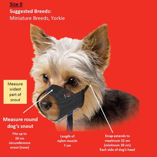 UAE Online Delivery Mikki Nylon Dog Muzzle to Prevent Biting and Chewing for Dogs