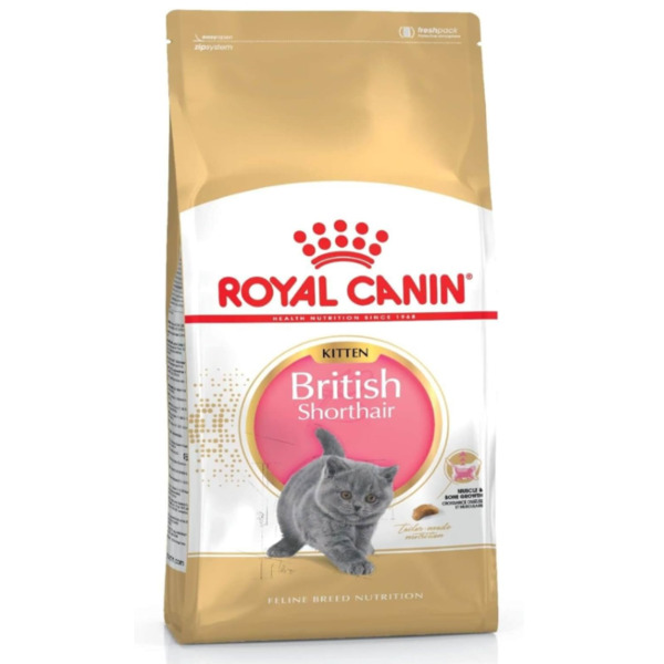 Abu Dhabi Online Delivery British Shorthair Kitten Food Royal Canin 2 KG For Breed Nutrition