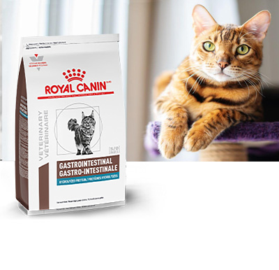 royal canin petcare products uae