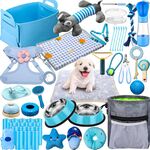 Colorful cage accessories for hamsters, rabbits, and guinea pigs
